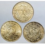 Zestaw, Mieszko i Dąbrówka 100 złotych 1966 - próby oraz obiegowa (3 szt.)