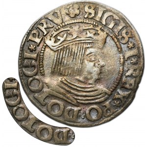 Sigismund I the Old, Groschen Danzig 1533 - PRV - UNLISTED, DOTOCI