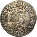 Sigismund I the Old, Groschen Danzig 1533 - PRV - UNLISTED, DOTOCI