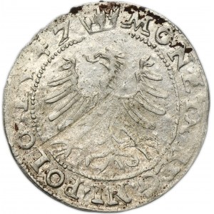 Sigismund I the Old, Groschen Krakau 1547 ST - EXTREMELY RARE