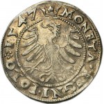 Sigismund I the Old, Groschen Krakau 1547 ST