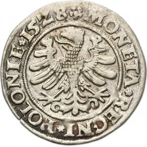 Sigismund I the Old, Groschen Krakau 1528 - VERY RARE