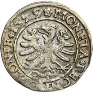 Sigismund I the Old, Groschen Krakau 1529