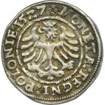 Sigismund I the Old, Groschen Krakau 1527 - RARE