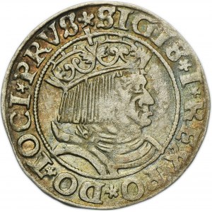 Sigismund I the Old, Groschen Thorn 1531 - PRVS/PRVS