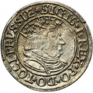 Sigismund I the Old, Groschen Thorn 1534 - PRVSSIE/PRVSSIE