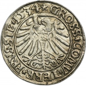 Sigismund I the Old, Groschen Thorn 1534 - PRVSSIE/PRVSSIE