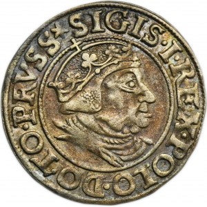 Sigismund I the Old, Groschen Danzig 1538 - PRVSS
