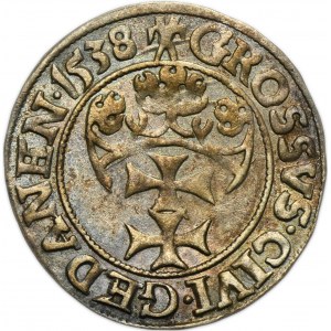 Sigismund I the Old, Groschen Danzig 1538 - PRVSS