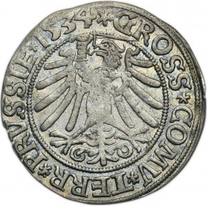 Sigismund I the Old, Groschen Thorn 1534 - PRVSSIE/PRVSSIE