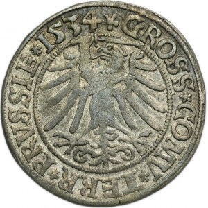 Sigismund I the Old, Groschen Thorn 1534 - PRVSSIE/PRVSSIE