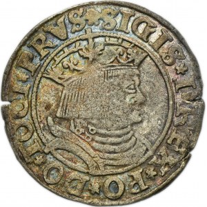 Sigismund I the Old, Groschen Thorn 1531 - PRVS/PRVS, VERY RARE, TERRERR