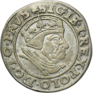 Sigismund I the Old, Groschen Danzig 1539 - PRVS