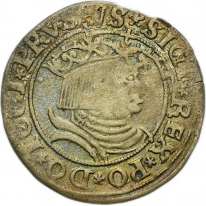 Sigismund I the Old, Groschen Thorn 1531 - PRVS/PRVS