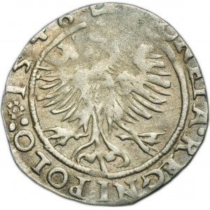 Sigismund I the Old, Groschen Krakau 1546 ST