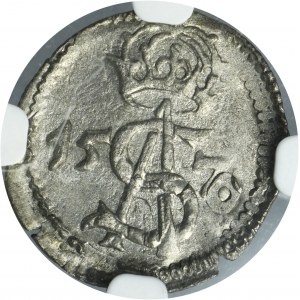Sigismund II August, 2 Denarius Vilnius 1570 - NGC MS61