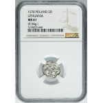 Sigismund II August, 2 Denarius Vilnius 1570 - NGC MS61