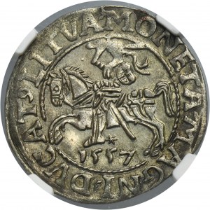 Sigismund II August, 1/2 Groschen Vilnius 1557 - LI/LITVA - NGC UNC DETAILS