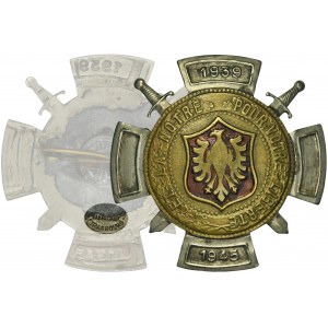 PSZnZ, Abzeichen der polnischen Infanteriegruppe in Frankreich