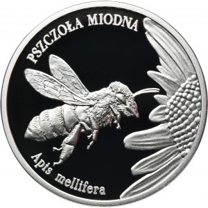 20 złotych 2015 Pszczoła Miodna