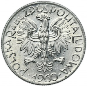 5 złotych 1960 Rybak