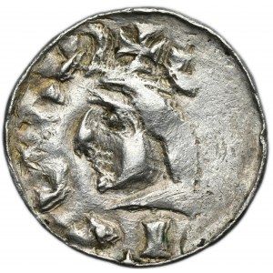 Ladislaus I Herman, Denarius Krakau