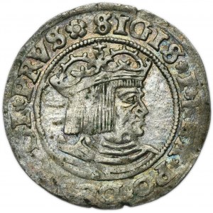 Sigismund I the Old, Groschen Thorn 1529 - PRVS/PRVSS