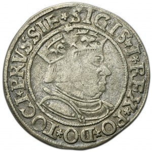 Sigismund I the Old, Groschen Thorn 1534 - PRVSSIE/PRVSSIE