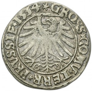 Sigismund I the Old, Groschen Thorn 1534 - PRVSSIE/PRVSSIE