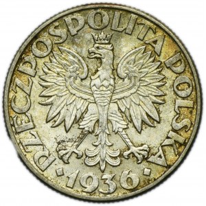 Żaglowiec, 2 złote 1936