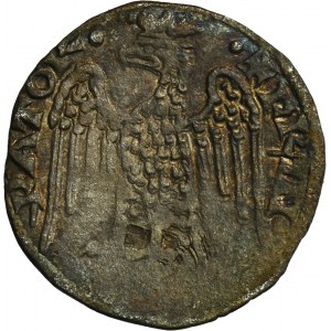 Italy, Republic of Pisa, Federico I, Aquilino piccolo - VERY RARE