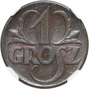 1 grosz 1923 - NGC MS65 BN