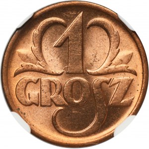 1 grosz 1937 - NGC MS66 RD