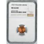 1 grosz 1937 - NGC MS66 RD