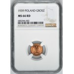 1 grosz 1939 - NGC MS66 RD