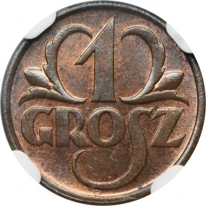 1 grosz 1936 - NGC MS65 RB