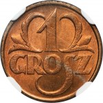 1 grosz 1931 - NGC MS67 RD