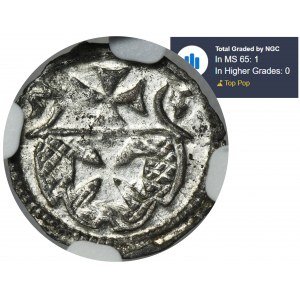 Sigismund II August, Denarius Elbing 1555 - NGC MS65