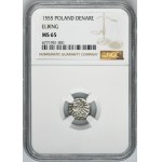 Sigismund II August, Denarius Elbing 1555 - NGC MS65