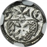 Sigismund II August, Denarius Elbing 1555 - NGC MS65