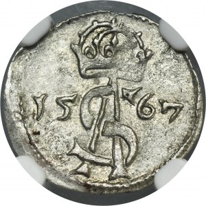 Sigismund II August, 2 Denarius Vilnius 1567 - NGC MS62