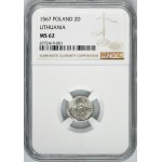 Sigismund II August, 2 Denarius Vilnius 1567 - NGC MS62