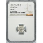 Sigismund II August, 2 Denarius Vilnius 1566 - NGC MS63