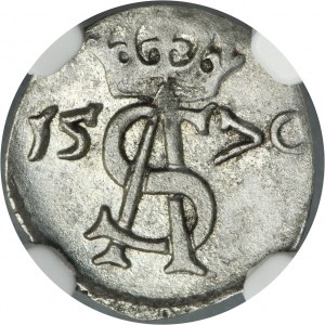 Sigismund II August, 2 Denarius Vilnius 1570 - NGC MS62
