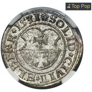 Sigismund I the Old, Schilling Elbing 1531 - NGC MS64