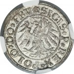 Sigismund I the Old, Schilling Elbing 1531 - NGC MS64