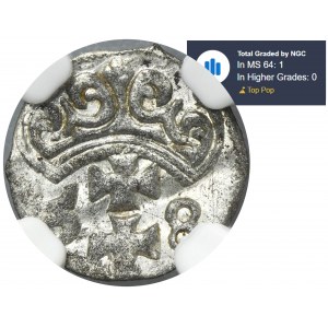 Sigismund II August, Denarius Danzig 1558 - NGC MS64