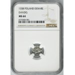 Sigismund II August, Denarius Danzig 1558 - NGC MS64