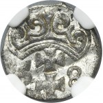Sigismund II August, Denarius Danzig 1558 - NGC MS64