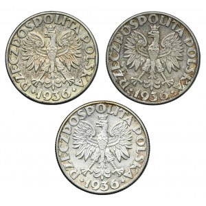 Zestaw, Żaglowiec, 2 złote 1936 (3 szt.)